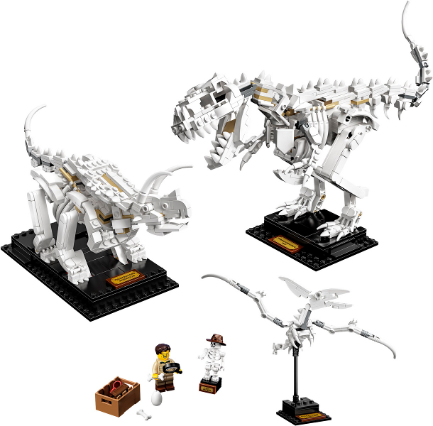 LEGO 21320 Ideas Dinosaur Fossils